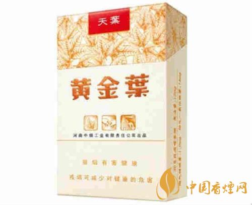 黃金葉天葉如何辨別真?zhèn)?黃金葉天葉價(jià)格介紹